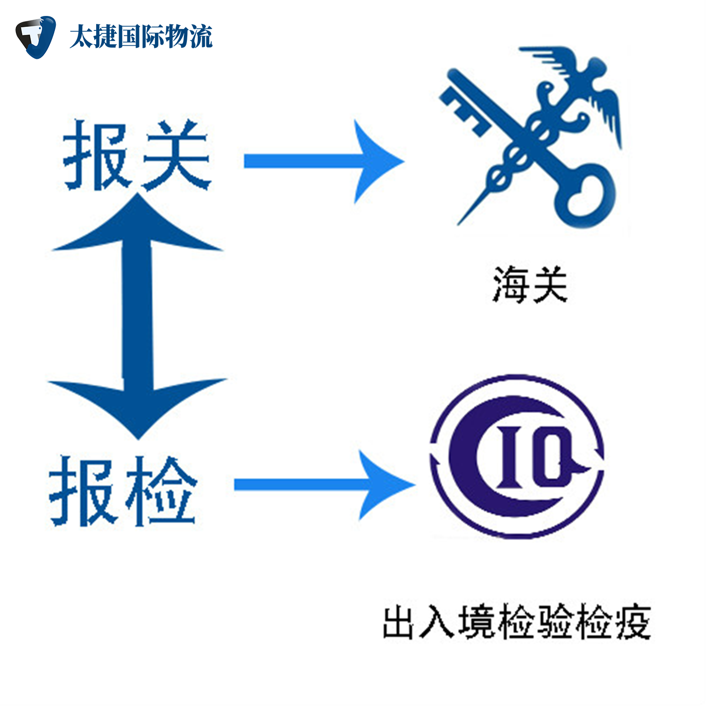 报关报验结构