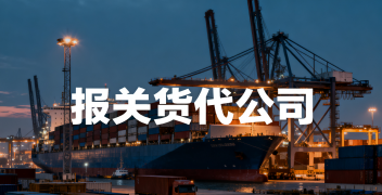 <font color='#0033CC'>报关货代公司有哪些优势？一文详解服务流程</font>