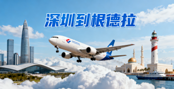 <font color='#0033CC'>深圳到根德拉空运需要多久？费用与全流程详解</font>