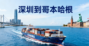 <font color='#0033CC'>深圳到哥本哈根海空运输需要多久？费用与全流程解析</font>