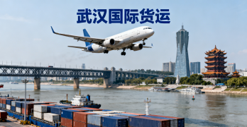 <strong><font color='#0033CC'>武汉国际货运哪家靠谱？流程、报价与注意事项详解</font></strong>